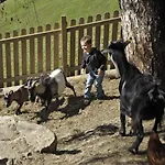 Bergbauernhof Irxner *