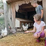 Bergbauernhof Irxner ファームステイ Pichl-Preunegg