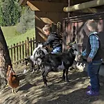 Bergbauernhof Irxner * Pichl-Preunegg