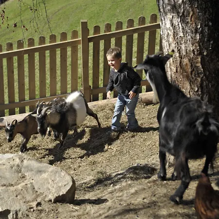 Bergbauernhof Irxner *