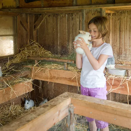 Bergbauernhof Irxner * Pichl-Preunegg