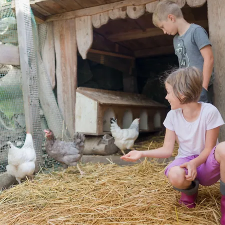 Bergbauernhof Irxner Vakantieboerderij Pichl-Preunegg