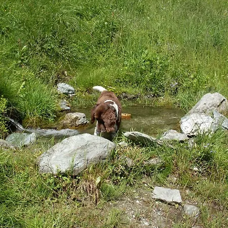 Bergbauernhof Irxner Vakantieboerderij Pichl-Preunegg