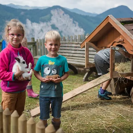Bergbauernhof Irxner *