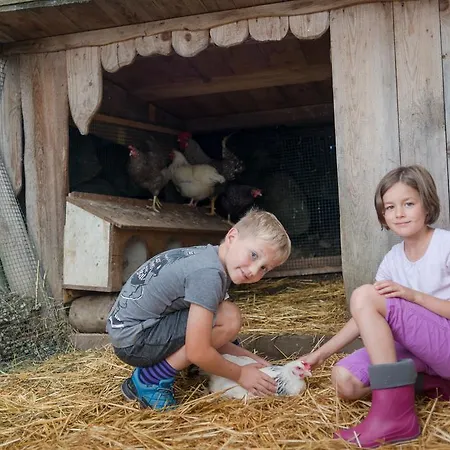 Bergbauernhof Irxner *
