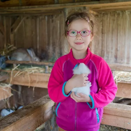 Bergbauernhof Irxner Alloggio per agriturismo *