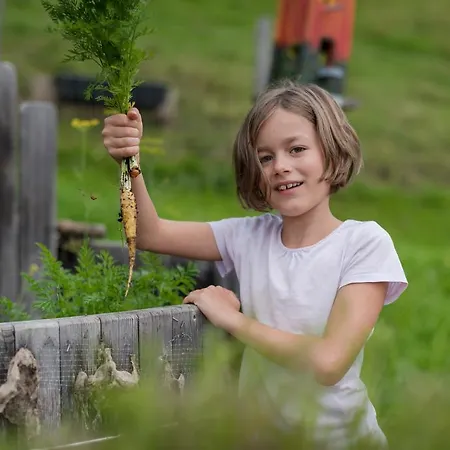 Bergbauernhof Irxner