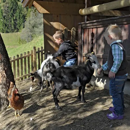 Bergbauernhof Irxner * Pichl-Preunegg