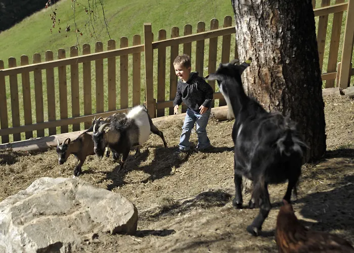 Bergbauernhof Irxner *