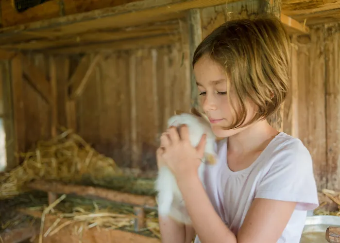 Bergbauernhof Irxner * Pichl-Preunegg