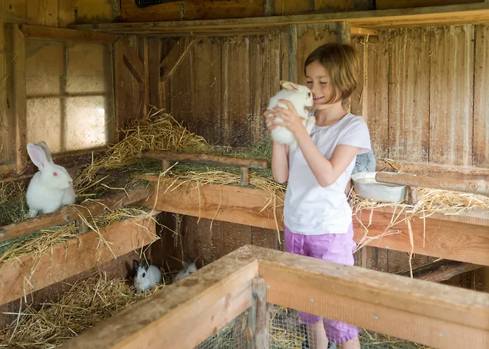 Bergbauernhof Irxner * Pichl-Preunegg