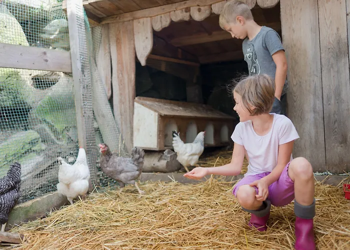 Bergbauernhof Irxner Farm stay Pichl-Preunegg