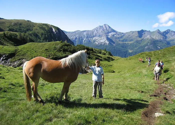 Farma Bergbauernhof Irxner