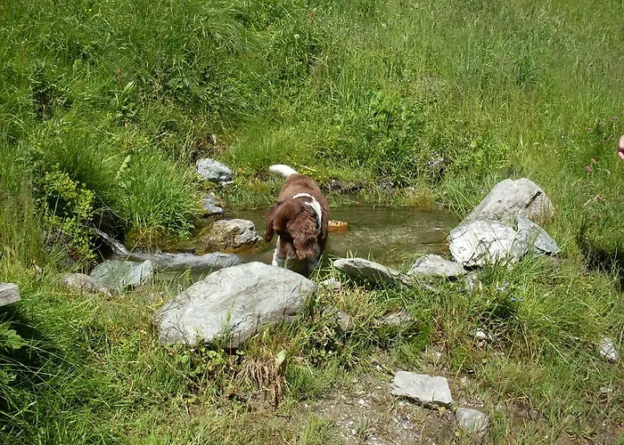 Bergbauernhof Irxner Farma Pichl-Preunegg
