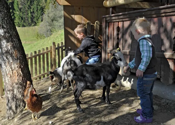 Bergbauernhof Irxner * Pichl-Preunegg